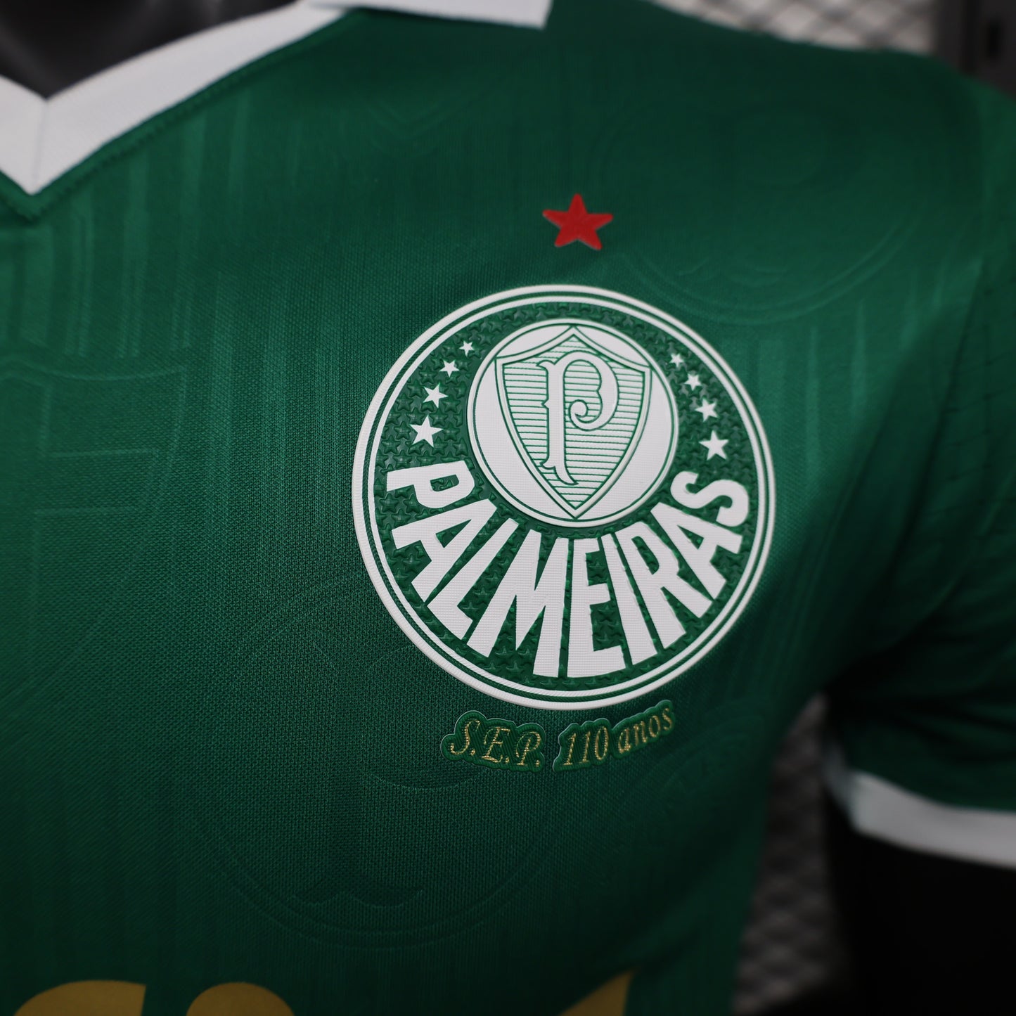Camisa Palmeiras I 2024/25 Jogador Masculina - Verde