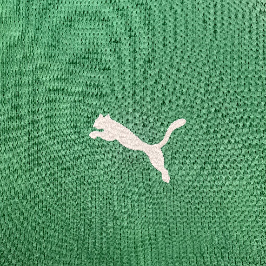 Camisa Palmeiras I 2025/26 - Jogador Feminina - Verde