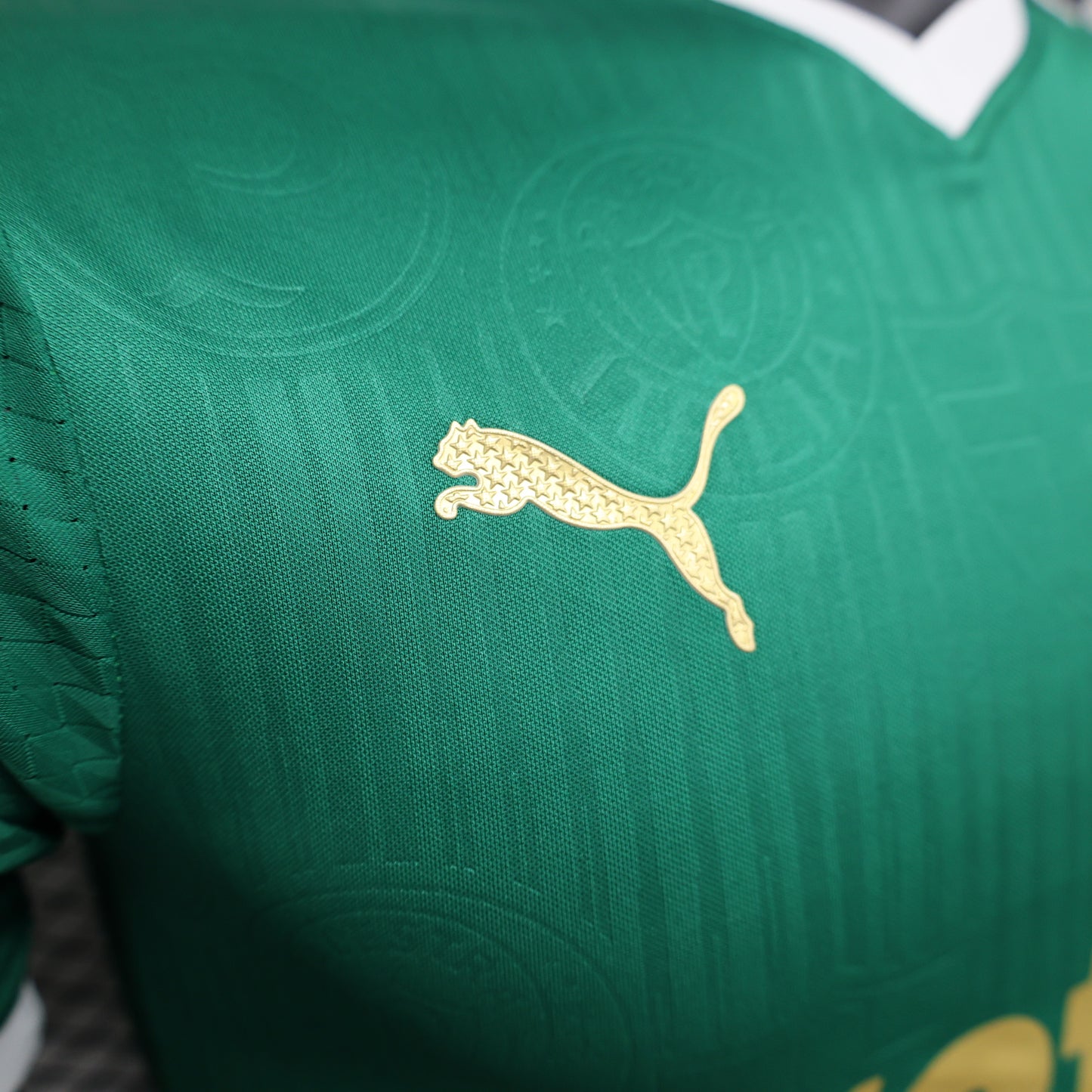 Camisa Palmeiras I 2024/25 Jogador Masculina - Verde